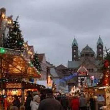 Domblick Mit Historischem Innenhof * Speyer