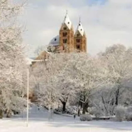 Domblick Mit Historischem Innenhof * Speyer